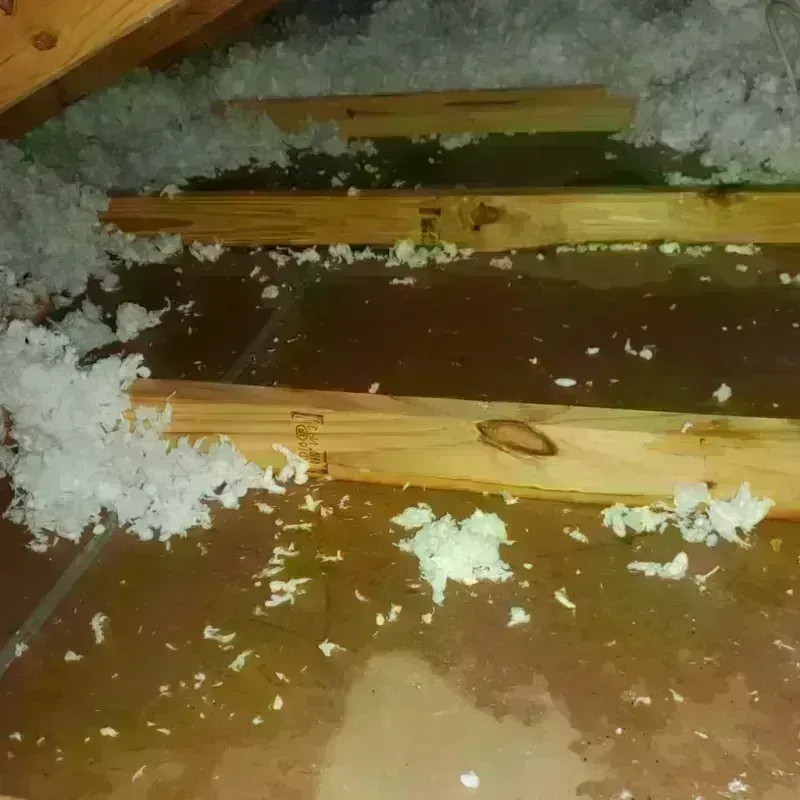 Attic Water Damage in Deale, MD