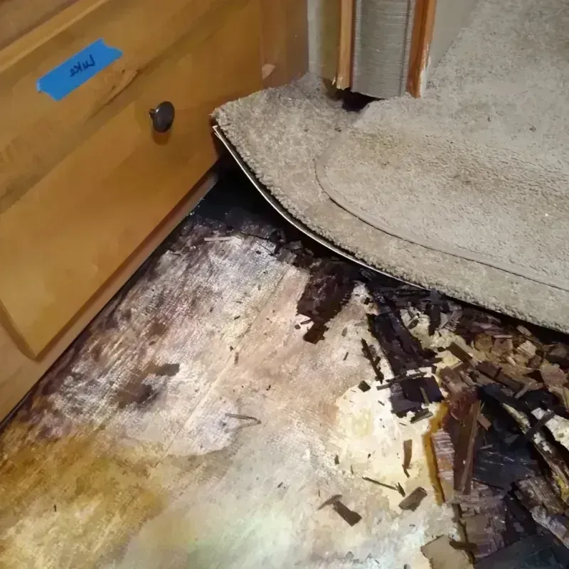 Wood Floor Water Damage in Deale, MD